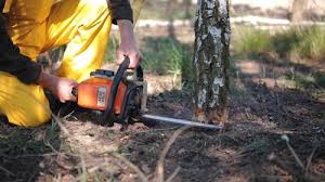 Best Lawn Grading and Leveling  in Limestone Creek, FL